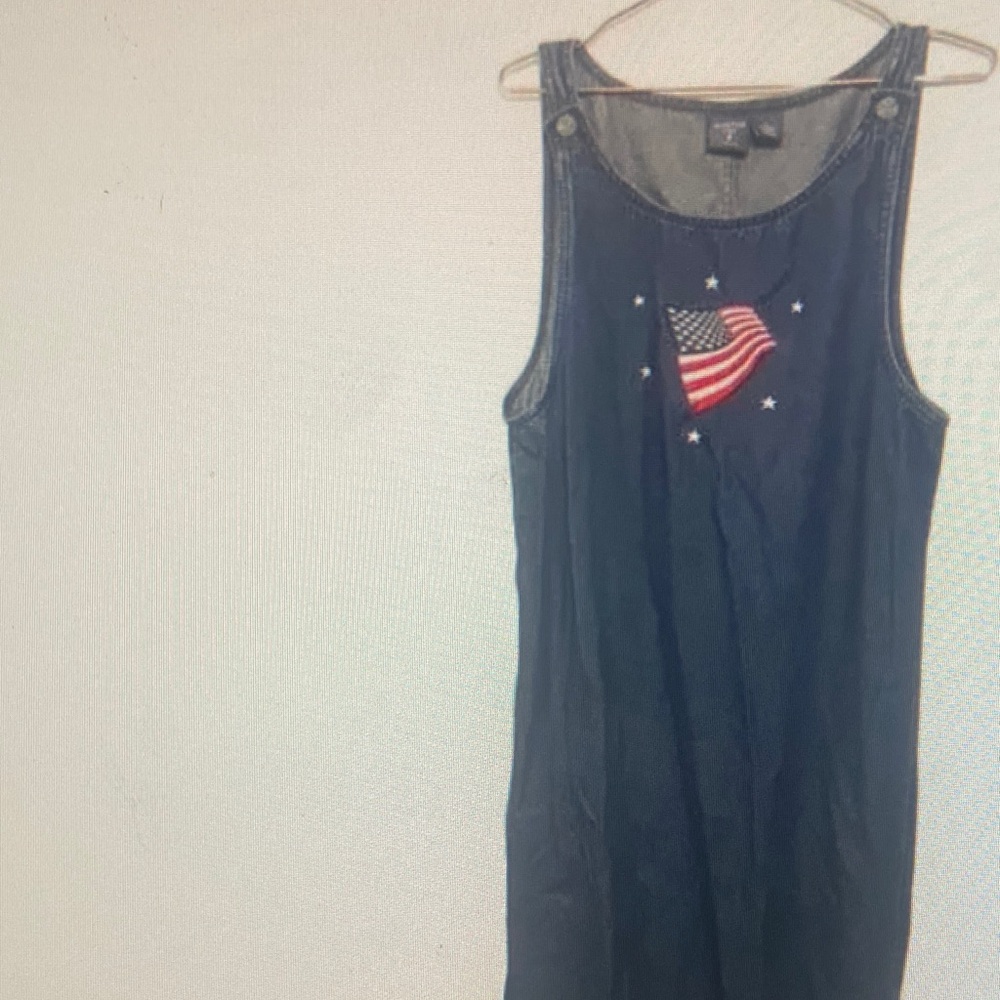 Mountain Lake American Flag
Embroidered Dress - Petite Large